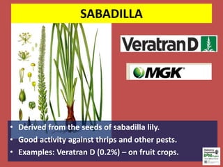 SABADILLA
• Derived from the seeds of sabadilla lily.
• Good activity against thrips and other pests.
• Examples: Veratran D (0.2%) – on fruit crops.
10
 