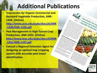 • Insecticides for Organic Commercial and
Backyard Vegetable Production, ANR-
1428. [Online]
http://www.aces.edu/pubs/docs/A/ANR
-1428/ANR-1428.pdf
• Pest Management in High Tunnel Crop
Production, ANR-1432. [Online]
http://www.aces.edu/pubs/docs/A/ANR
-1432/ANR-1432.pdf
• Consult a Regional Extension Agent for
designing an optimal trap cropping
system with accurate pest insect
identification.
Additional Publications
 