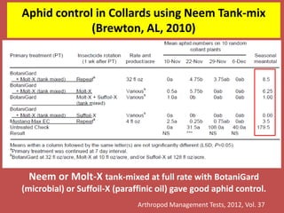 Aphid control in Collards using Neem Tank-mix
(Brewton, AL, 2010)
Arthropod Management Tests, 2012, Vol. 37
Neem or Molt-X tank-mixed at full rate with BotaniGard
(microbial) or Suffoil-X (paraffinic oil) gave good aphid control.
 
