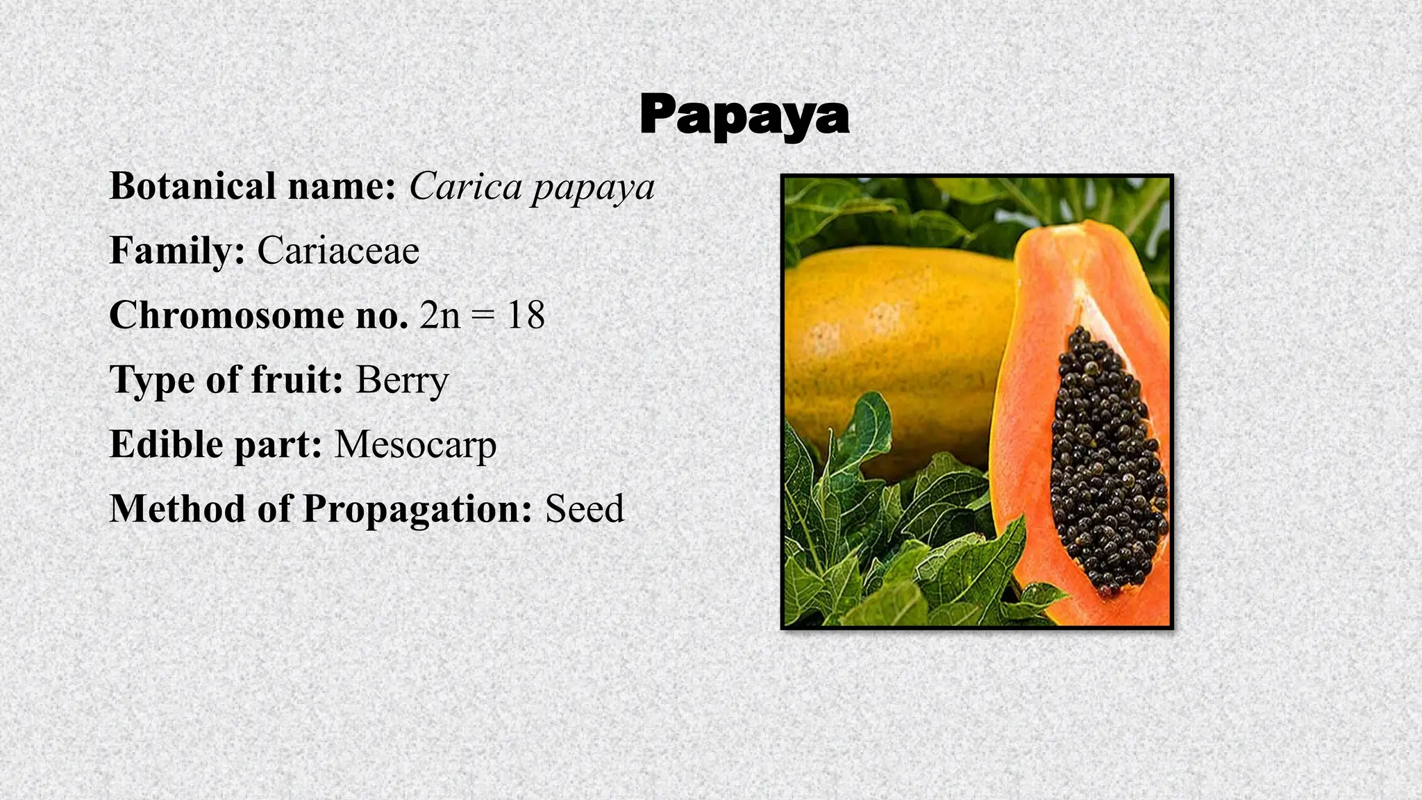Botanical name of Fruits, Family, Chromosome number of fruit crops
