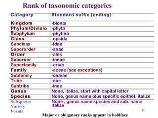 Rank of taxonomic categories Major or obligatory ranks appear in boldface None , genus name species and sub. name italize Subspecies Variety Forma None, genus name plus specific epithet, italize Species None, italize, start with capital letter Genus -inae Subtribe -eae Tribe  -oideae Subfamily -aceae  (see exceptions) Family -ariae Superfamily -ineae Suborder -ales Order -anae Superorder -idae Subclass -opsida Class -phytina Subphylum -phyta Phylum/Division -bionta Kingdom Standard suffix (ending) Category  