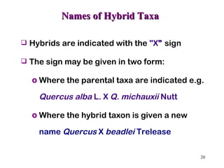 Names of Hybrid Taxa Hybrids are indicated with the  "X "  sign  The sign may be given in two form: Where the parental taxa are indicated e.g.  Quercus alba  L. X  Q. michauxii  Nutt  Where the hybrid taxon is given a new  name  Quercus  X  beadlei  Trelease 