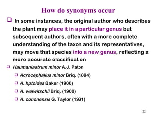 How do synonyms occur In some instances, the original author who describes the plant may  place it in a particular genus  but subsequent authors, often with a more complete understanding of the taxon and its representatives, may move that species  into a new genus , reflecting a more accurate classification Haumaniastrum minor  A.J. Paton  Acrocephallus minor  Briq. (1894) A. hptoides  Baker (1900) A. welwitschii  Briq. (1900) A. cononensis  G. Taylor (1931) 