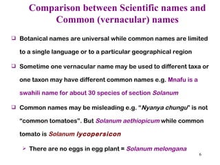 Comparison between Scientific names and Common (vernacular) names Botanical names are universal while common names are limited to a single language or to a particular geographical region Sometime one vernacular name may be used to different taxa or one taxon may have different common names e.g.  Mnafu is a swahili name for about 30 species of section  Solanum   Common names may be misleading e.g. “ Nyanya chungu ” is not “common tomatoes”. But  Solanum aethiopicum   while common tomato is  Solanum  lycopersicon There are no eggs in egg plant =  Solanum melongana 