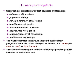 Geographical epithets Geographical epithets may reflect countries and localities: saharae  = of the sahara puguensis  of Pugu sanctae-helenae =  of St. Helena umalilaense  = of Umalila usambarensis  = of Usambara ugandaense  = of Uganda tanganyikaense  = of Tanganyika aethiopicum  = of Ethiopia The ICBN recommends however that epithet taken from geographical names should be adjective and end with - ensis   (-e ),  anus  (- a, - um ), or  icus  (- a, -um ) The specific name may not be tautonomyous (repeat the generic name) as in  Benzoin benzoin 