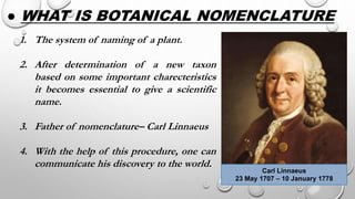 Carl Linnaeus
23 May 1707 – 10 January 1778
1. The system of naming of a plant.
2. After determination of a new taxon
based on some important charecteristics
it becomes essential to give a scientific
name.
3. Father of nomenclature– Carl Linnaeus
4. With the help of this procedure, one can
communicate his discovery to the world.
● WHAT IS BOTANICAL NOMENCLATURE
 