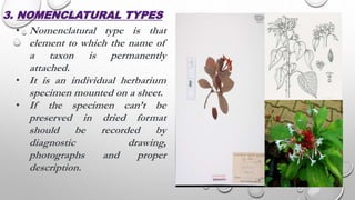 3. NOMENCLATURAL TYPES
• Nomenclatural type is that
element to which the name of
a taxon is permanently
attached.
• It is an individual herbarium
specimen mounted on a sheet.
• If the specimen can’t be
preserved in dried format
should be recorded by
diagnostic drawing,
photographs and proper
description.
 