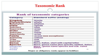 Taxonomic Rank
 