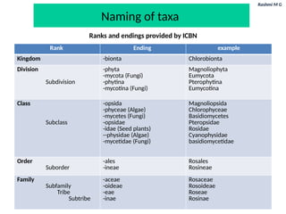 Rashmi M G
Naming of taxa
Rank Ending example
Kingdom -bionta Chlorobionta
Division
Subdivision
-phyta
-mycota (Fungi)
-phytina
-mycotina (Fungi)
Magnoliophyta
Eumycota
Pterophytina
Eumycotina
Class
Subclass
-opsida
-phyceae (Algae)
-mycetes (Fungi)
-opsidae
-idae (Seed plants)
--physidae (Algae)
-mycetidae (Fungi)
Magnoliopsida
Chlorophyceae
Basidiomycetes
Pteropsidae
Rosidae
Cyanophysidae
basidiomycetidae
Order
Suborder
-ales
-ineae
Rosales
Rosineae
Family
Subfamily
Tribe
Subtribe
-aceae
-oideae
-eae
-inae
Rosaceae
Rosoideae
Roseae
Rosinae
Ranks and endings provided by ICBN
 