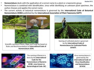 Rashmi M G
• Nomenclature deals with the application of a correct name to a plant or a taxonomic group
• Nomenclature is combined with identification, since while identifying an unknown plant specimen, the
author chooses and applies the correct name
• The current activity of botanical nomenclature is governed by the International Code of Botanical
Nomenclature (ICBN) published by the International Association of Plant Taxonomy (IAPT)
The naming of Bacteria is
done by the International
Code for the
Nomenclature of Bacteria
(ICNB ; now known as
Bacteriological Code- BC)
Scientific naming of Plants, Algae and Fungi are based on
Rules and Recommendations of International Code of
Nomenclature (ICN)
Naming of cultivated plants is governed
by the International Code of
Nomenclature for Cultivated Plants
(ICNCP)
Virus nomenclature is
governed by the
International Code of
Virus Classification
and Nomenclature
(ICVCN)
 