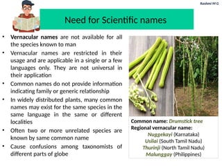 Rashmi M G
Need for Scientific names
• Vernacular names are not available for all
the species known to man
• Vernacular names are restricted in their
usage and are applicable in a single or a few
languages only. They are not universal in
their application
• Common names do not provide information
indicating family or generic relationship
• In widely distributed plants, many common
names may exist for the same species in the
same language in the same or different
localities
• Often two or more unrelated species are
known by same common name
• Cause confusions among taxonomists of
different parts of globe
Common name: Drumstick tree
Regional vernacular name:
Nuggekayi (Karnataka)
Usilai (South Tamil Nadu)
Thurinji (North Tamil Nadu)
Malunggay (Philippines)
 