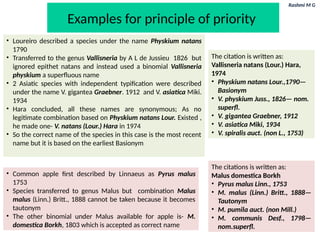 Rashmi M G
Examples for principle of priority
• Loureiro described a species under the name Physkium natans
1790
• Transferred to the genus Vallisneria by A L de Jussieu 1826 but
ignored epithet natans and instead used a binomial Vallisneria
physkium a superfluous name
• 2 Asiatic species with independent typification were described
under the name V. gigantea Graebner. 1912 and V. asiatica Miki.
1934
• Hara concluded, all these names are synonymous; As no
legitimate combination based on Physkium natans Lour. Existed ,
he made one- V. natans (Lour.) Hara in 1974
• So the correct name of the species in this case is the most recent
name but it is based on the earliest Basionym
The citation is written as:
Vallisneria natans (Lour.) Hara,
1974
• Physkium natans Lour.,1790—
Basionym
• V. physkium Juss., 1826— nom.
superfl.
• V. gigantea Graebner, 1912
• V. asiatica Miki, 1934
• V. spiralis auct. (non L., 1753)
• Common apple first described by Linnaeus as Pyrus malus
1753
• Species transferred to genus Malus but combination Malus
malus (Linn.) Britt., 1888 cannot be taken because it becomes
tautonym
• The other binomial under Malus available for apple is- M.
domestica Borkh, 1803 which is accepted as correct name
The citations is written as:
Malus domestica Borkh
• Pyrus malus Linn., 1753
• M. malus (Linn.) Britt., 1888—
Tautonym
• M. pumila auct. (non Mill.)
• M. communis Desf., 1798—
nom.superfl.
 