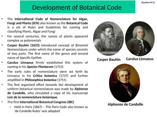 Rashmi M G
Development of Botanical Code
• The International Code of Nomenclature for Algae,
Fungi and Plants (ICN) also known as the Botanical Code
is a set of Rules and Guidelines for naming and
classifying Plants, Algae and Fungi
• For several centuries, the names of plants appeared
complex as polynomials
• Casper Bauhin (1623) introduced concept of Binomial
Nomenclature under which the name of species consists
of two parts. The first name of the genus and second
name of Specific Epithet
• Carolus Linnaeus firmly established this system of
naming in his Species Plantarum (1753)
• The early rules of nomenclature were set forth by
Linnaeus in his Critica botanica (1737) and further
amplified in Philosophica botanica (1751)
• The first organized effort towards the development of
uniform botanical nomenclature was made by Alphonse
de Candolle, who circulated a copy of his manuscript
Lois de la nomenclature botanique.
• The first International Botanical Congress (IBC)
– Held in Paris (1867) – The Paris Code also known as
‘de Candolle Rules’ was adopted
Carolus Linnaeus
Alphonse de Candolle
Casper Bauhin
 