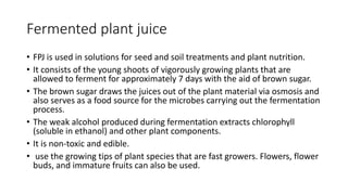 Fermented plant juice
• FPJ is used in solutions for seed and soil treatments and plant nutrition.
• It consists of the young shoots of vigorously growing plants that are
allowed to ferment for approximately 7 days with the aid of brown sugar.
• The brown sugar draws the juices out of the plant material via osmosis and
also serves as a food source for the microbes carrying out the fermentation
process.
• The weak alcohol produced during fermentation extracts chlorophyll
(soluble in ethanol) and other plant components.
• It is non-toxic and edible.
• use the growing tips of plant species that are fast growers. Flowers, flower
buds, and immature fruits can also be used.
 