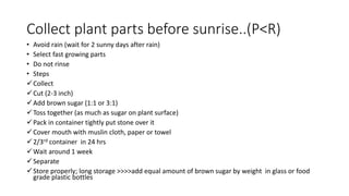 Collect plant parts before sunrise..(P<R)
• Avoid rain (wait for 2 sunny days after rain)
• Select fast growing parts
• Do not rinse
• Steps
Collect
Cut (2-3 inch)
Add brown sugar (1:1 or 3:1)
Toss together (as much as sugar on plant surface)
Pack in container tightly put stone over it
Cover mouth with muslin cloth, paper or towel
2/3rd container in 24 hrs
Wait around 1 week
Separate
Store properly; long storage >>>>add equal amount of brown sugar by weight in glass or food
grade plastic bottles
 