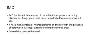 IMO
• IMO is a beneficial member of the soil microorganisms including
filamentous fungi, yeasts and bacteria collected from noncultivated
soil.
• It has a high content of microorganisms on the soil with the presence
of earthworm castings, often found under bamboo trees
• Cooked rice can also be used.
 
