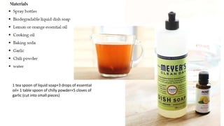 1 tea spoon of liquid soap+3 drops of essential
oil+ 1 table spoon of chilly powder+5 cloves of
garlic (cut into small pieces)
 