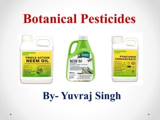 Botanical Pesticides
By- Yuvraj Singh
 