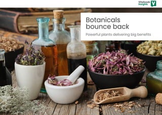 Botanicals
bounce back
Powerful plants delivering big benefits
Click here or press enter for the accessibility optimised version
 
