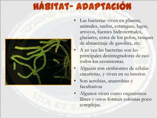 Hábitat- Adaptación
       • Las bacterias viven en plantas,
         animales, suelos, estanques, lagos,
         arroyos, fuentes hidrotermales,
         glaciares, cerca de los polos, tanques
         de almacenaje de gasolina, etc.
       • A su vez las bacterias son las
         principales desintegradoras de casi
         todos los ecosistemas.
       • Algunas son simbiontes de células
         eucariotas, y viven en su interior.
       • Son aerobias, anaerobias y
         facultativas
       • Algunos viven como organismos
         libres y otros forman colonias poco
         complejas.
 