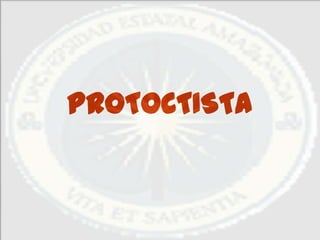 PROTOCTISTA
 