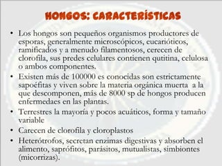 HONGOS: Características
• Los hongos son pequeños organismos productores de
  esporas, generalmente microscópicos, eucarióticos,
  ramificados y a menudo filamentosos, cerecen de
  clorofila, sus predes celulares contienen qutitina, celulosa
  o ambos componentes.
• Existen más de 100000 es conocidas son estrictamente
  sapoéfitas y viven sobre la materia orgánica muerta a la
  que descomponen, más de 8000 sp de hongos producen
  enfermedaes en las plantas.
• Terrestres la mayoría y pocos acuáticos, forma y tamaño
  variable
• Carecen de clorofila y cloroplastos
• Heterótrofos, secretan enzimas digestivas y absorben el
  alimento, saprófitos, parásitos, mutualistas, simbiontes
  (micorrizas).
 