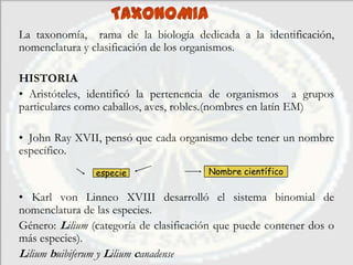 TAXONOMIA
La taxonomía, rama de la biología dedicada a la identificación,
nomenclatura y clasificación de los organismos.

HISTORIA
• Aristóteles, identificó la pertenencia de organismos a grupos
particulares como caballos, aves, robles.(nombres en latín EM)

• John Ray XVII, pensó que cada organismo debe tener un nombre
específico.
                especie                 Nombre científico

• Karl von Linneo XVIII desarrolló el sistema binomial de
nomenclatura de las especies.
Género: Lilium (categoría de clasificación que puede contener dos o
más especies).
Lilium buibiferum y Lilium canadense
 