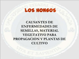 LOS HONGOS

     CAUSANTES DE
   ENFERMEDADES DE
   SEMILLAS, MATERIAL
    VEGETATIVO PARA
PROPAGACION Y PLANTAS DE
        CULTIVO
 