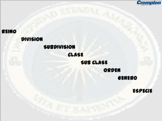 REINO
        DIVISION
                   SUBDIVISION
                            CLASE
                                SUB CLASE
                                        ORDEN
                                            GENERO

                                                ESPECIE
 