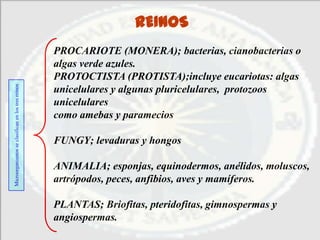 REINOS
                                                   PROCARIOTE (MONERA); bacterias, cianobacterias o
                                                   algas verde azules.
                                                   PROTOCTISTA (PROTISTA);incluye eucariotas: algas
Microorganismos se clasifican en los tres reinos




                                                   unicelulares y algunas pluricelulares, protozoos
                                                   unicelulares
                                                   como amebas y paramecios

                                                   FUNGY; levaduras y hongos

                                                   ANIMALIA; esponjas, equinodermos, anélidos, moluscos,
                                                   artrópodos, peces, anfibios, aves y mamíferos.

                                                   PLANTAS; Briofitas, pteridofitas, gimnospermas y
                                                   angiospermas.
 