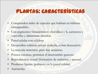 PLANTAS: Características
• Comprenden miles de especies que habitan en hábitats
  inimaginables.
• Con pigmentos fotosintéticos: clorofila a y b, carotenos y
  xantofilas y almacenan almidón.
• Pared celular con celulosa
• Desarrollan cubierta cerosa: cutícula, evitan desecación.
• La mayoría terrestres, pero hay acuáticas.
• Poseen estomas, permiten el intercambio gaseoso
• Reproducción sexual (formación de embrión) y asexual.
• Producen lignina (polímero en la pared celular)
• Autótrofas
 
