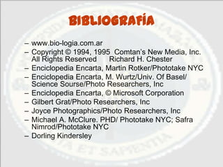 BIBLIOGRAFÍA
– www.bio-logia.com.ar
– Copyright © 1994, 1995 Comtan’s New Media, Inc.
  All Rights Reserved    Richard H. Chester
– Enciclopedia Encarta, Martin Rotker/Phototake NYC
– Enciclopedia Encarta, M. Wurtz/Univ. Of Basel/
  Science Sourse/Photo Researchers, Inc
– Enciclopedia Encarta, © Microsoft Corporation
– Gilbert Grat/Photo Researchers, Inc
– Joyce Photographics/Photo Researchers, Inc
– Michael A. McClure. PHD/ Phototake NYC; Safra
  Nimrod/Phototake NYC
– Dorling Kindersley
 