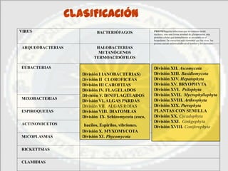 CLASIFICACIÓN
VIRUS                        BACTERIÓFAGOS              PRIONESagente infeccioso que no contiene ácido
                                                        nucleico, sino una forma anormal de glicoproteína, una
                                                        proteína celular que normalmente se encuentra en el
                                                        hospedante. De estructura más elemental que los virus, los
                                                        priones causan enfermedades en el hombre y los animales;
ARQUEOBACTERIAS             HALOBACTERIAS
                             METANÓGENOS
                           TERMOACIDÓFILOS

EUBACTERIAS                                             División XII. Ascomycota
                     División I IANOBACTERIAS)          División XIII. Basidiomycota
                     División II CLOROFICEAS            División XIV. Hepatophyta
                     División III CAROFITAS             División XV. BRYOPHYTA
                     División IV. FLAGELADOS            División XVI. Psilophyta
                     DIvisión V. DINIFLAGELADOS         División XVII. Mycrophyllophyta
MIXOBACTERIAS                                           División XVIII. Arthrophyta
                     División VI. ALGAS PARDAS
                     División VII. ALGAS ROJAS          División XIX. Pterophyta
ESPIROQUETAS         División VIII. DIATOMEAS           PLANTAS CON SEMILLA
                     División IX. Schizomycota (coco,   División XX. Cycadophyta
                                                        División XXI. Ginkgophyta
ACTINOMICETOS         bacilos, Espirilos, vibriones.    División XVIII. Coniferophyta
                     División X. MYXOMYCOTA
MICOPLASMAS          División XI. Phycomycota

RICKETTSIAS


CLAMIDIAS
 