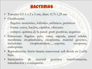 BACTERIAS
• Tamaño: 0,5-1 x 2 a 5 um, diam. 0,75-1,25 um
• Clasificación:
  - flagelos: monótrico, lofótrico, anfitricos, peritricos
  - forma: cocos, bacilos, espirilos, vibriones
  - compos. química de la pared: gram positivas, negativas
• Estructura: flagelos, pelo, vaina, cápsula, pared celular,
  membrana citoplasmática, citoplasma, material genético,
  inclusiones      citoplasmáticas.......esporas,        exosporas,
  endosporas.
• Reproducción: fisión binaria transversal: cell divide en 2 cells
  hijas.
• Intercambio de material genético: transformación,
  transducción y conjugación.
 