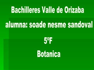 Bachilleres Valle de Orizaba alumna: soade nesme sandoval 5ºF Botanica 