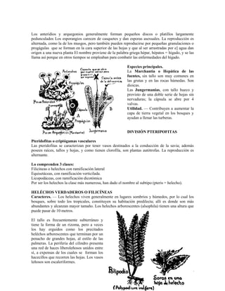 106
Los anteridios y arquegonios generalmente forman pequeños discos o platillos largamente
pedunculados Los esporangios carecen de casquetes y dan esporas asexuales. La reproducción es
alternada, como la de los musgos, pero también pueden reproducirse por pequeñas granulaciones o
progágulas que se forman en la cara superior de las hojas y que al ser arrastradas por e] agua dan
origen a una nueva planta El nombre proviene de la palabra griega hépar, hépatos = hígado, y se las
llama así porque en otros tiempos se empleaban para combatir las enfermedades del hígado.
Especies principales.
La Marchantia o Hepática de las
fuentes, sin tallo son muy comunes en
las grutas y en las rocas húmedas. Son
dioicas.
Las Jungermanias, con tallo hueco y
provisto de una doble serie de hojas sin
nervaduras; la cápsula se abre por 4
valvas.
Utilidad. — Contribuyen a aumentar la
capa de tierra vegetal en los bosques y
ayudan a llenar las turberas.
DIVISIÓN PTERIPOFITAS
Pteridofitas o criptógamas vasculares
Las pteridofitas se caracterizan por tener vasos destinados a la conducción de la savia; además
poseen raíces, tallos y hojas, y como tienen clorofila, son plantas autótrofas. La reproducción es
alternante.
Lo comprenden 3 clases:
Filicíneas o helechos con ramificación lateral
Equisetáceas, con ramificación verticilada.
Licopodáceas, con ramificación dicotómica
Por ser los helechos la clase más numerosa, han dado el nombre al subtipo (pteris = helecho).
HELÉCHOS VERDADEROS O FILICÍNEAS
Caracteres. — Los helechos viven generalmente en lugares sombríos y húmedos, por lo cual los
bosques, sobre todo los tropicales, constituyen su habitación predilecta; allí es donde son más
abundantes y alcanzan mayor tamaño. Los helechos arborescentes (alsophila) tienen una altura que
puede pasar de 10 metros.
El tallo es frecuentemente subterráneo y
tiene la forma de un rizoma, pero a veces
los hay erguidos como los precitados
heléchos arborescentes que terminan por un
penacho de grandes hojas, al estilo de las
palmeras. La periferia del cilindro presenta
una red de haces liberoleñosos unidos entre
sí, a expensas de los cuales se forman los
hacecillos que recorren las hojas. Los vasos
leñosos son escaleriformes.
 