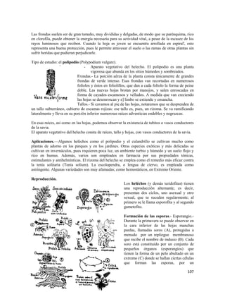 107
Las frondas suelen ser de gran tamaño, muy divididas y delgadas, de modo que su parénquima, rico
en clorofila, puede obtener la energía necesaria para su actividad vital, a pesar de la escasez de los
rayos luminosos que reciben. Cuando la hoja es joven se encuentra arrollada en espiral', esto
representa una buena protección, pues le permite atravesar el suelo o las ramas de otras plantas sin
sufrir heridas que pudieran perjudicarle.
Tipo de estudio: el polipodio (Polypodium vulgare).
- Aparato vegetativo del helecho. El polipodio es una planta
vigorosa que abunda en los sitios húmedos y sombreados.
Frondas.- La porción aérea de la planta consta únicamente de grandes
frondas de verde intenso. Esas frondas van recortadas en numerosos
folíolos y éstos en foliolillos, que dan a cada folíolo la forma de peine
doble. Las nuevas hojas brotan por manojos, y salen enroscadas en
forma de cayados escamosos y velludos. A medida que van creciendo
las hojas se desenroscan y e] limbo se extiende y ensancha.
Tallos.- Si cavamos al pie de las hojas, notaremos que se desprenden de
un tallo subterráneo, cubierto de escamas rojizas: ese tallo es, pues, un rizoma. Se va ramificando
lateralmente y lleva en su porción inferior numerosas raíces adventicias endebles y negruzcas.
En esas raíces, así como en las hojas, podemos observar la existencia de tubitos o vasos conductores
de la savia.
El aparato vegetativo del helecho consta de raíces, tallo y hojas, con vasos conductores de la savia.
Aplicaciones.—Algunos heléchos como el polipodio y el culandrillo se cultivan mucho como
plantas de adorno en los parques y en los jardines. Otras especies exóticas y más delicadas se
cultivan en invernáculos, pues requieren poca luz, un ambiente turbio y húmedo y un suelo flojo y
rico en humus. Además, varios son empleados en farmacia por sus propiedades tónicas,
estimulantes y antihelmínticas. El rizoma del helecho se emplea como el remedio más eficaz contra
la tenia solitaria (Tenia solium). La escolopendra, o lengua de ciervo, es empleada como
astringente. Algunas variedades son muy afamadas; como hemostáticos, en Extremo Oriente.
Reproducción.
Los heléchos (y demás teridofitas) tienen
una reproducción alternante; es decir,
presentan dos ciclos, uno asexual y otro
sexual, que se suceden regularmente; al
primero se le llama esporofita y al segundo
gametofito.
Formación de las esporas.- Esporangio.-
Durante la primavera se puede observar en
la cara inferior de las hojas manchas
pardas, llamadas soros (A), protegidas a
menudo por un repliegue membranoso
que recibe el nombre de indusio (B). Cada
soro está constituido por un conjunto de
pequeños órganos (esporangios) que
tienen la forma de un pelo abultado en un
extremo (C) donde se hallan ciertas células
que forman las esporas, por un
 