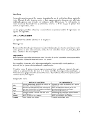 6
Vasculares
Comprenden un solo grupo, el los musgos, tienen clorofila; son de los helechos . Como autótrofos
pero a diferencia de ellos tienen un cormo, es decir órganos que deben Llamarse: raíz, tallo, hojas
modificadas, porque están formados por verdaderos tejidos diferenciados. No existe cambio (no
crecen en ancho). Su reproducción es alternante e inversa a la de los musgos: la primera fase,
asexual; la segunda fase, sexual.
Los tres grupos: protofitas, celulares y vasculares tienen en común el carácter de reproducirse por
esporas. Son esporofitas.
LAS ESPERMATOFITAS
Las espermatofitas admiten la formación de dos grupos:
Gimnospermas
Tienen semillas desnudas; provienen de óvulos también desnudos, no situados dentro de un ovario.
Como ejemplo: el pino; otras: araucaria, ciprés, etc. Son cormofitas: tienen raíz, tallo, hoja, flor,
fruto y semilla. Su flor es incompleta.
Angiospermas
Tienen semillas encerradas dentro de un fruto. Provienen de óvulos encerrados dentro de un ovario.
Como ejemplo: el junquillo; otras: duraznero, vid, girasol.
Son cormofitas: tienen raíz, tallo, hoja, una verdadera flor completa (cáliz, corola, androceo y
gineceo). Son las plantas más elevadas en la escala botánica.
El carácter común de gimnospermas y angiospermas es el tener semillas, ser espermatofitas y pre-
sentar en la reproducción las dos fases en el mismo individuo. Las angiospermas dan lugar a la
formación de dos grupos naturales: monocotiledóneas y dicotiledóneas. Presentan diferencias en los
caracteres de todos los órganos.
Comparación entre:
MONOCOTILEDÓNEAS: DICOTILEDÓNEAS:
Raíz:
Fibrosa; por atrofia de la radícula del embrión se
desarrollan raíces adventicias;
Pivotante; se origina por desarrollo de la radícula
del embrión;
Tallo:
No crece en .ancho por carencia de cambium. Es
una caña, rizoma, bulbo, estípite poco ramificado;
Crece en ancho; tiene cambium. Es un tallo
propiamente dicho, tronco ramificado;
Hoja: Paralelinervada o curvinervada; Retinervada o Palminervada;
Flor:
Perigonio corolino o calicino; cada ciclo floral
tiene 3 partes;
Perianto con cáliz y corola de diferente aspecto; y
cada ciclo floral tiene 4 ó 5 partes;
Semilla: Posee un cotiledón en el embrión Posee dos cotiledones en el embrión; embri
Ejemplo: Maíz, gladiolo, lirio, palmera Amapola, jazmín, Papa, seibo.
 