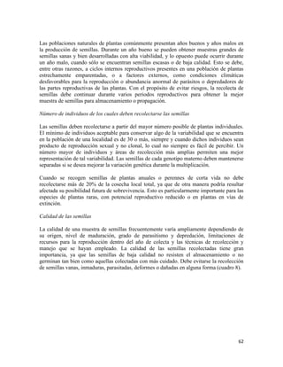 62
Las poblaciones naturales de plantas comúnmente presentan años buenos y años malos en
la producción de semillas. Durante un año bueno se pueden obtener muestras grandes de
semillas sanas y bien desarrolladas con alta viabilidad, y lo opuesto puede ocurrir durante
un año malo, cuando sólo se encuentran semillas escasas o de baja calidad. Esto se debe,
entre otras razones, a ciclos internos reproductivos presentes en una población de plantas
estrechamente emparentadas, o a factores externos, como condiciones climáticas
desfavorables para la reproducción o abundancia anormal de parásitos o depredadores de
las partes reproductivas de las plantas. Con el propósito de evitar riesgos, la recolecta de
semillas debe continuar durante varios periodos reproductivos para obtener la mejor
muestra de semillas para almacenamiento o propagación.
Número de individuos de los cuales deben recolectarse las semillas
Las semillas deben recolectarse a partir del mayor número posible de plantas individuales.
El mínimo de individuos aceptable para conservar algo de la variabilidad que se encuentra
en la población de una localidad es de 30 o más, siempre y cuando dichos individuos sean
producto de reproducción sexual y no clonal, lo cual no siempre es fácil de percibir. Un
número mayor de individuos y áreas de recolección más amplias permiten una mejor
representación de tal variabilidad. Las semillas de cada genotipo materno deben mantenerse
separadas si se desea mejorar la variación genética durante la multiplicación.
Cuando se recogen semillas de plantas anuales o perennes de corta vida no debe
recolectarse más de 20% de la cosecha local total, ya que de otra manera podría resultar
afectada su posibilidad futura de sobrevivencia. Esto es particularmente importante para las
especies de plantas raras, con potencial reproductivo reducido o en plantas en vías de
extinción.
Calidad de las semillas
La calidad de una muestra de semillas frecuentemente varía ampliamente dependiendo de
su origen, nivel de maduración, grado de parasitismo y depredación, limitaciones de
recursos para la reproducción dentro del año de colecta y las técnicas de recolección y
manejo que se hayan empleado. La calidad de las semillas recolectadas tiene gran
importancia, ya que las semillas de baja calidad no resisten el almacenamiento o no
germinan tan bien como aquellas colectadas con más cuidado. Debe evitarse la recolección
de semillas vanas, inmaduras, parasitadas, deformes o dañadas en alguna forma (cuadro 8).
 