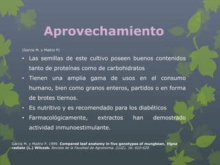 Aprovechamiento
     (García M. y Madriz P)

     • Las semillas de este cultivo poseen buenos contenidos
         tanto de proteínas como de carbohidratos
     • Tienen una amplia gama de usos en el consumo
         humano, bien como granos enteros, partidos o en forma
         de brotes tiernos.
     • Es nutritivo y es recomendado para los diabéticos
     • Farmacológicamente,                  extractos         han        demostrado
         actividad inmunoestimulante.

García M. y Madriz P. 1999. Compared leaf anatomy in five genotypes of mungbean, Vigna
radiata (L.) Wilczek. Revista de la Facultad de Agronomia. (LUZ). 16: 610-620
 
