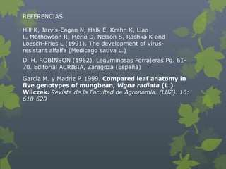REFERENCIAS

Hill K, Jarvis-Eagan N, Halk E, Krahn K, Liao
L, Mathewson R, Merlo D, Nelson S, Rashka K and
Loesch-Fries L (1991). The development of virus-
resistant alfalfa (Medicago sativa L.)
D. H. ROBINSON (1962). Leguminosas Forrajeras Pg. 61-
70. Editorial ACRIBIA, Zaragoza (España)

García M. y Madriz P. 1999. Compared leaf anatomy in
five genotypes of mungbean, Vigna radiata (L.)
Wilczek. Revista de la Facultad de Agronomia. (LUZ). 16:
610-620
 