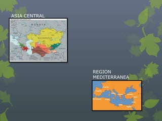 ASIA CENTRAL




               REGION
               MEDITERRANEA
 