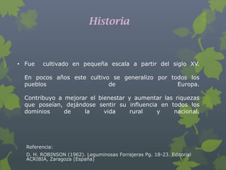 Historia



• Fue   cultivado en pequeña escala a partir del siglo XV.

  En pocos años este cultivo se generalizo por todos los
  pueblos                   de                   Europa.

  Contribuyo a mejorar el bienestar y aumentar las riquezas
  que poseían, dejándose sentir su influencia en todos los
  dominios     de    la     vida     rural   y    nacional.




  Referencia:
  D. H. ROBINSON (1962). Leguminosas Forrajeras Pg. 18-23. Editorial
  ACRIBIA, Zaragoza (España)
 