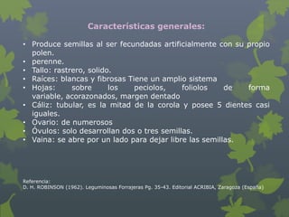 Características generales:

• Produce semillas al ser fecundadas artificialmente con su propio
  polen.
• perenne.
• Tallo: rastrero, solido.
• Raíces: blancas y fibrosas Tiene un amplio sistema
• Hojas:      sobre      los   peciolos,    foliolos    de  forma
  variable, acorazonados, margen dentado
• Cáliz: tubular, es la mitad de la corola y posee 5 dientes casi
  iguales.
• Ovario: de numerosos
• Óvulos: solo desarrollan dos o tres semillas.
• Vaina: se abre por un lado para dejar libre las semillas.




Referencia:
D. H. ROBINSON (1962). Leguminosas Forrajeras Pg. 35-43. Editorial ACRIBIA, Zaragoza (España)
 