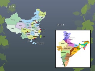 CHINA




        INDIA
 
