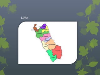LIMA
 