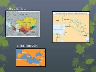 ASIA CENTRAL




      MEDITERRANEO
 