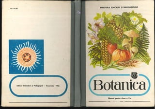 Botanica v 1986-noevol