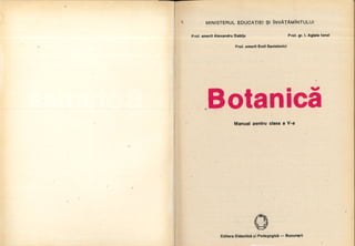 Botanica v 1986-noevol