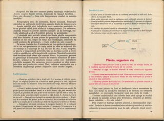 Botanica v 1986-noevol